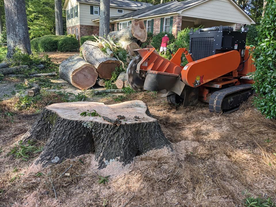 Carolina Stump Pros tracked stump grinder beside a large stump